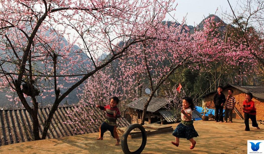 Hometravel Sapa Экстерьер фото